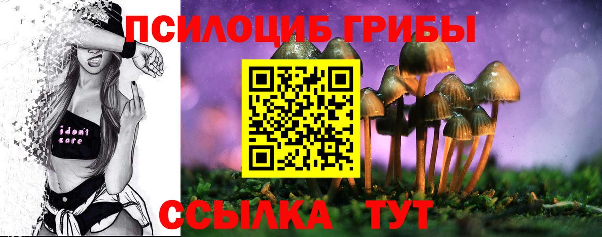 Дивногорск  Галлюциногенные грибы Magic Shrooms  Вход с VPN 